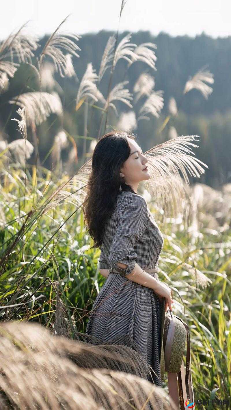 田福和母亲在芦苇中的对话：亲情的倾诉与心灵的交融