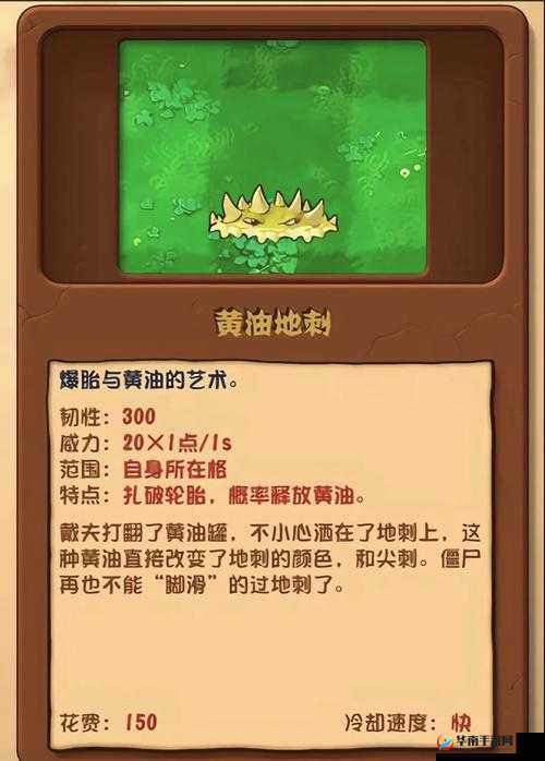 植物大战僵尸2深度解析，黄油毛茛强度全面揭秘，探讨其升级是否划算