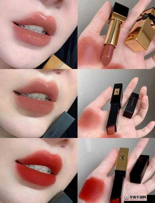 ysl 千人千色口红 T9 经典魅力无限