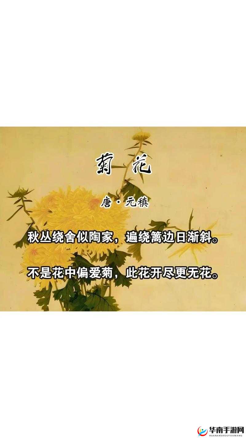 答错一题菊花放一支笔温客行：一段充满神秘色彩的独特情节