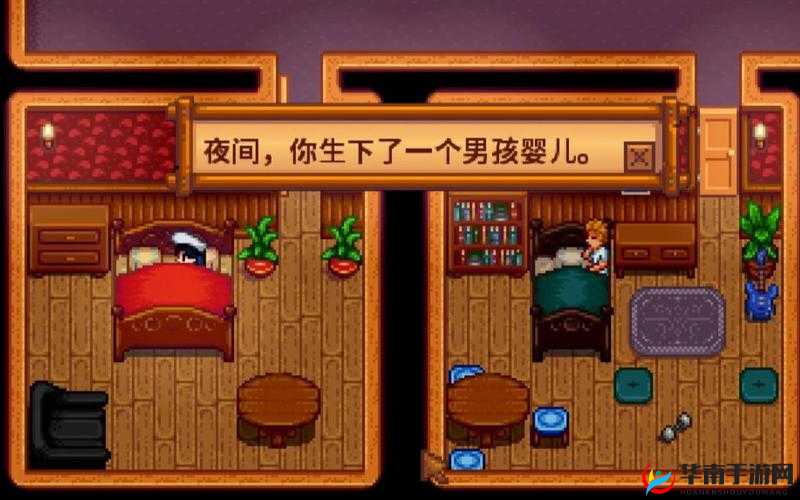 星露谷物语游戏中离婚后孩子的归属权判定规则解析