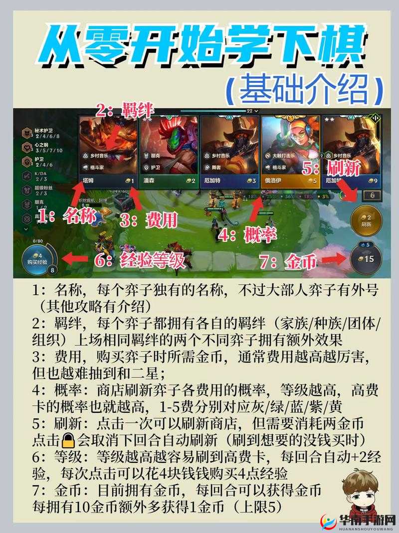 金铲铲之战新手攻略，避开常见误区，掌握快速成长的高效小技巧
