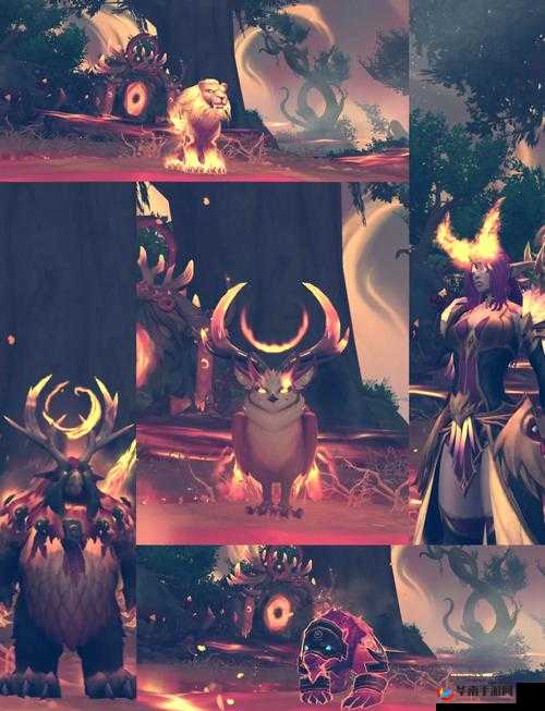 狼人德鲁伊与暗夜德鲁伊：神秘力量的交锋与守护传承