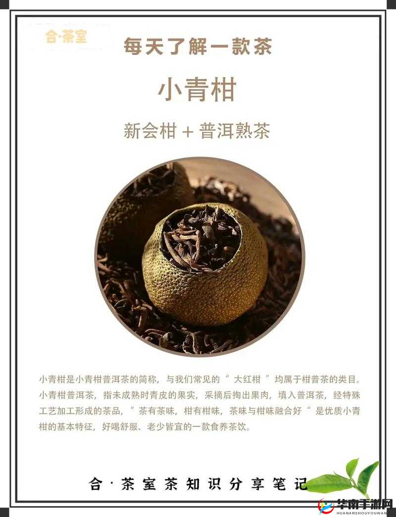 小青柑一线产区和二线产区的区别：深度解析与全面比较