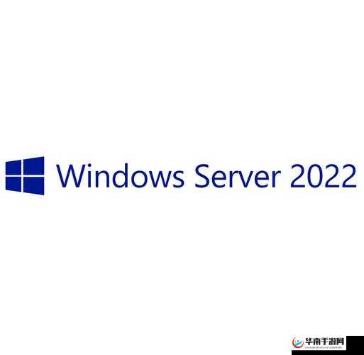 Windows Server 2022 日本版：企业数字化转型的坚实基础