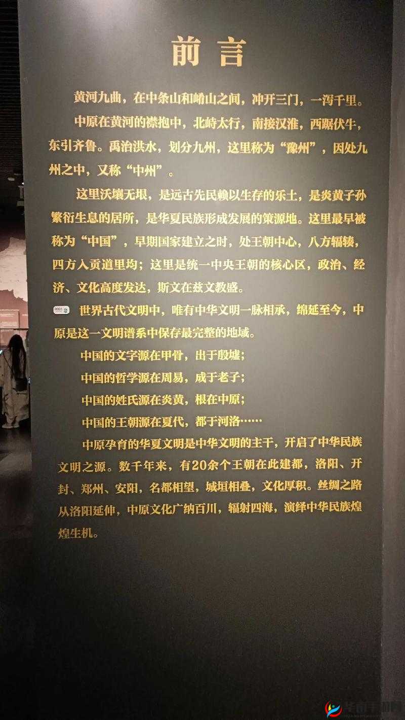 华夏文明的璀璨篇章，深入探索其无悔历史底蕴与丰富内涵