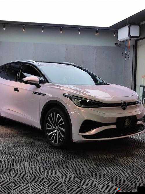 4s4s4s4s 色大众的奢华体验：带你领略前所未有的尊荣之旅