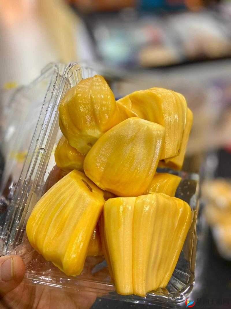 亚精产品一三三三菠萝蜜：美味水果带来的独特体验