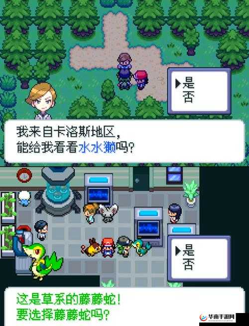 口袋妖怪，踏上一场充满未知与挑战的探索与冒险奇妙之旅