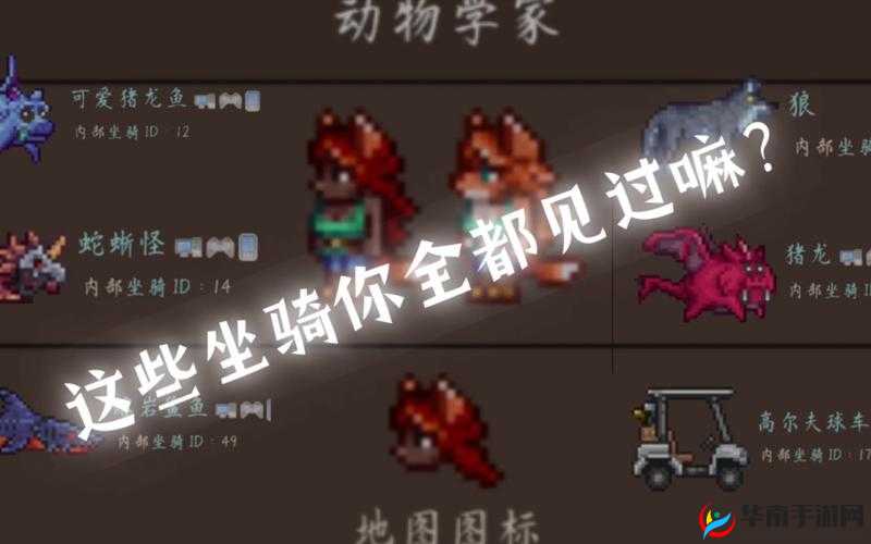 泰拉瑞亚坐骑高效获取策略及其在游戏中的价值最大化利用