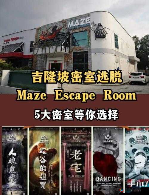 密室逃脱，一场融合智慧与勇气，激发潜能的极限解谜挑战