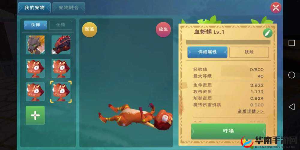 创造与魔法游戏攻略，如何将红蜥蜴驯化成你的专属宠物