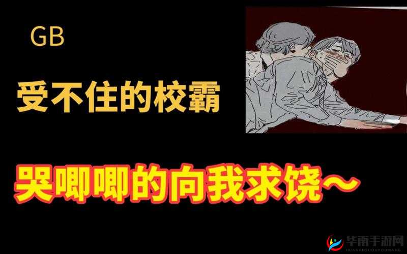 捡到校霸的遥控器TXT免费阅读：校园奇遇引发的秘密与冒险
