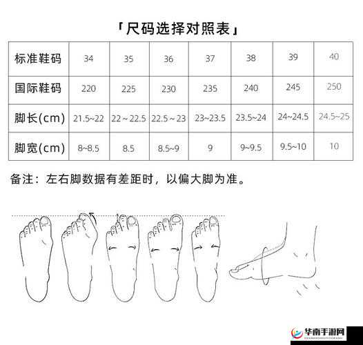 亚洲一码和欧洲二码尺码区别详解：如何准确选择适合你的鞋服尺寸？