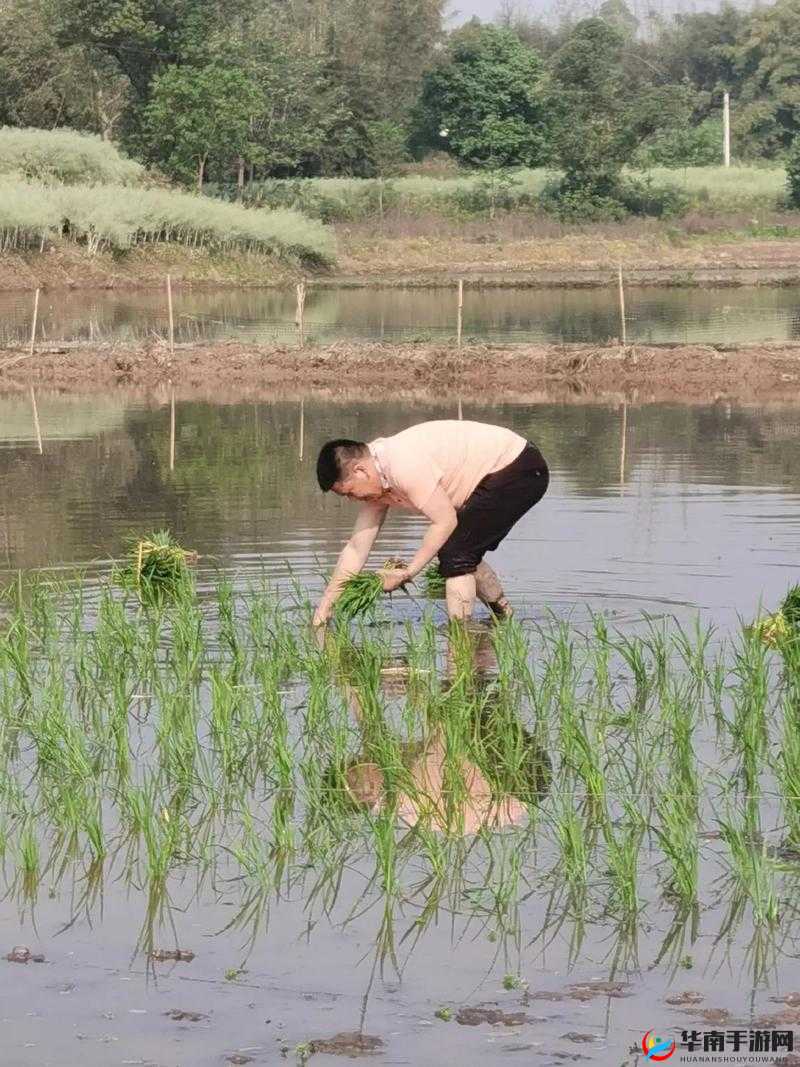 情侣的一百种插秧法大揭秘：创意无限，乐趣无穷，打造专属的农耕浪漫时光