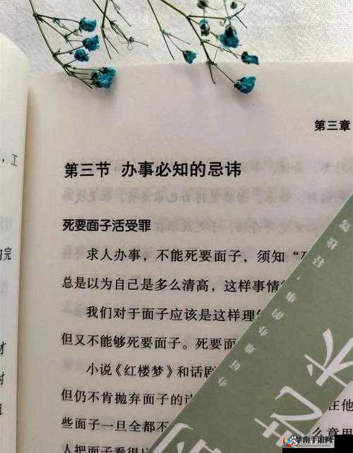 觅长生游戏前期，掌握战力提升的资源管理技巧与艺术