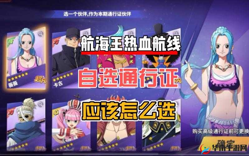航海王热血航线周年庆，全面解析通行证选择策略与最优推荐