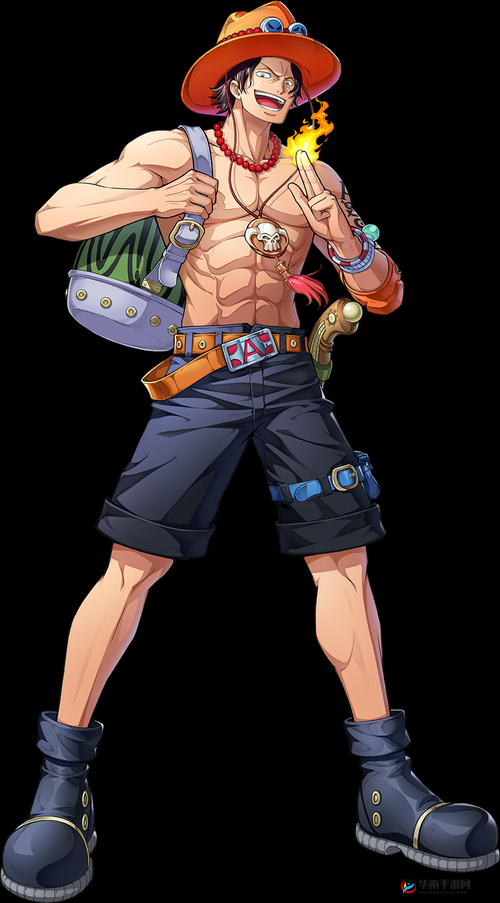 航海王热血航线角色培养策略，从资源管理视角深度剖析艾斯价值