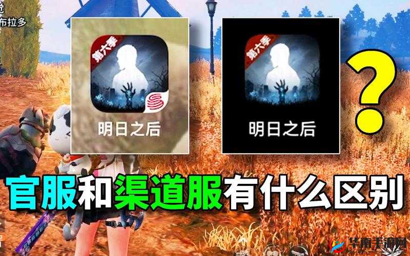 解析明日之后官服与渠道服差异及两者在游戏资源管理上的关键性影响