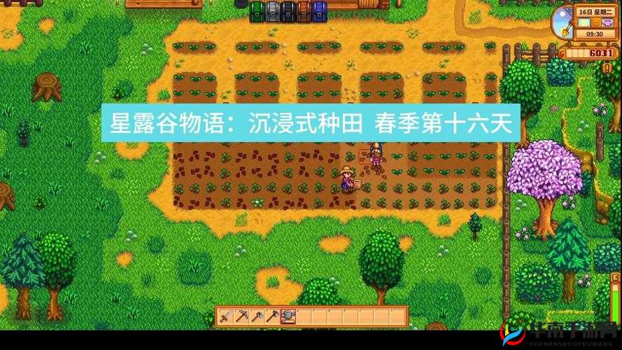 星露谷物语，体验田园牧歌生活，耕耘梦想收获幸福之旅