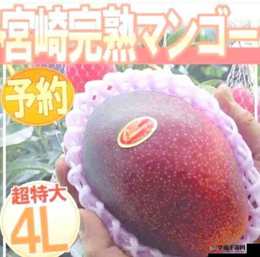 精美日产NV二线三线芒果：品质与口感双重享受，探寻独特风味之旅