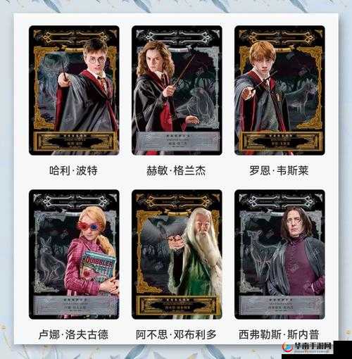 哈利波特卡牌游戏新手入门，高效策略与卡牌搭配指南