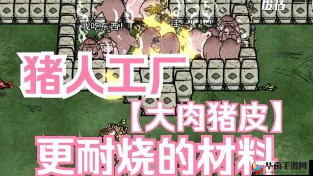 饥荒游戏指南，如何构建并运营高效的新猪人工厂详细步骤