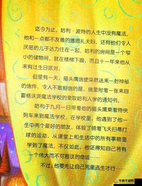 魔法世界的深度探索与个人成长的奇妙融合，哈利波特的非凡奇幻之旅