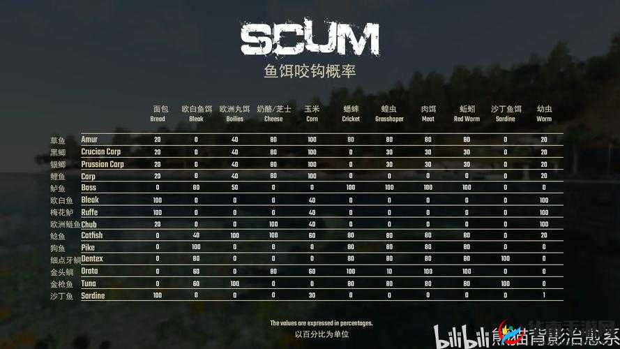 人渣游戏新手全面指南，从零开始掌握生存挑战的全攻略