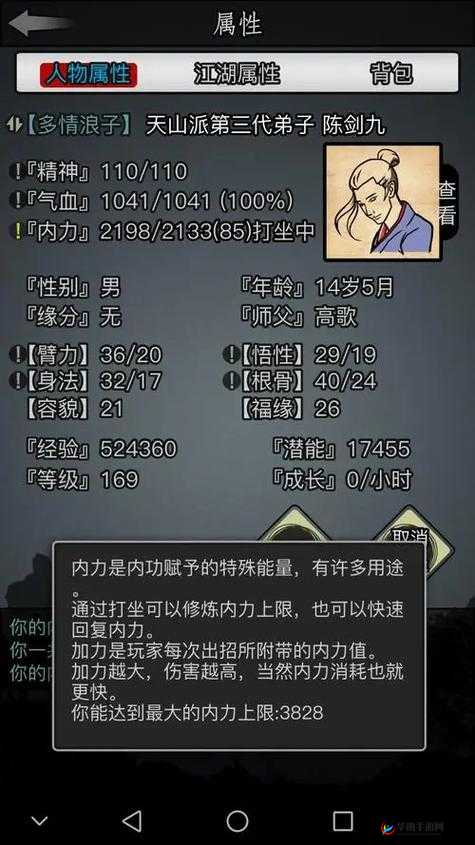 掌握放置江湖内功上限查看方法，从资源管理的重要视角出发