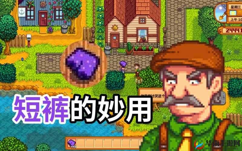 星露谷物语，揭秘村长短裤获取方法，踏上资源管理与策略探索的奇妙旅程
