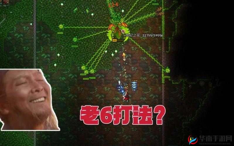 泰拉瑞亚世纪之花打法全攻略，策略布局、技巧运用与价值收益最大化指南