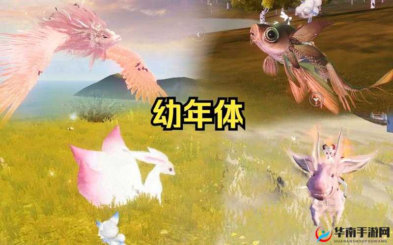 妄想山海，深入奇幻世界的奇妙之旅，邂逅宠物奇缘与未知冒险