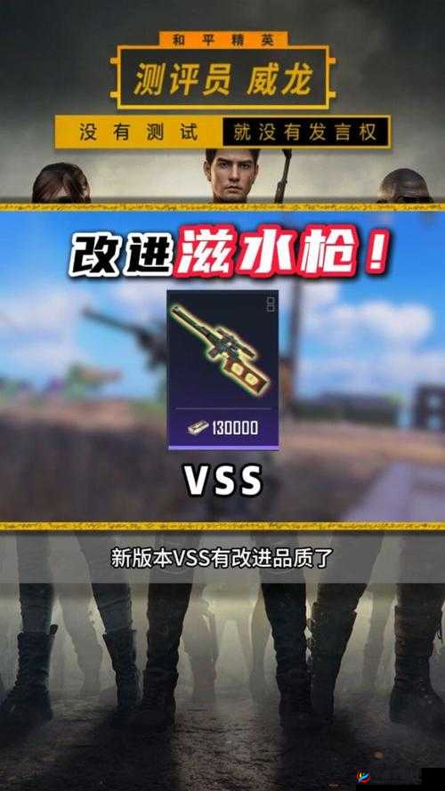 刺激战场VSS新玩法揭秘，它将如何引领战场革命，你准备好了吗？