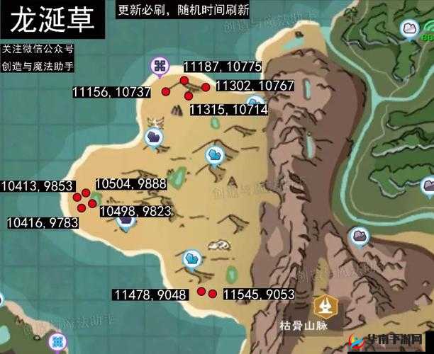 创造与魔法龙涎草究竟隐藏在哪里？位置分布深度解析揭秘