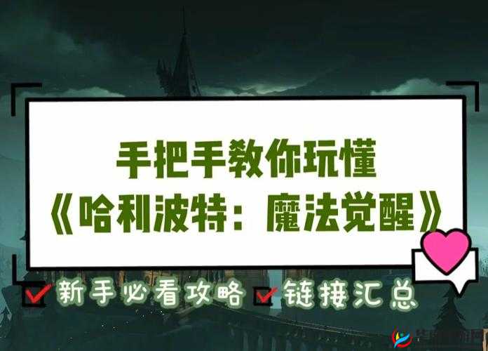 哈利波特，魔法觉醒中日常技巧有哪些深度奥秘待揭秘？