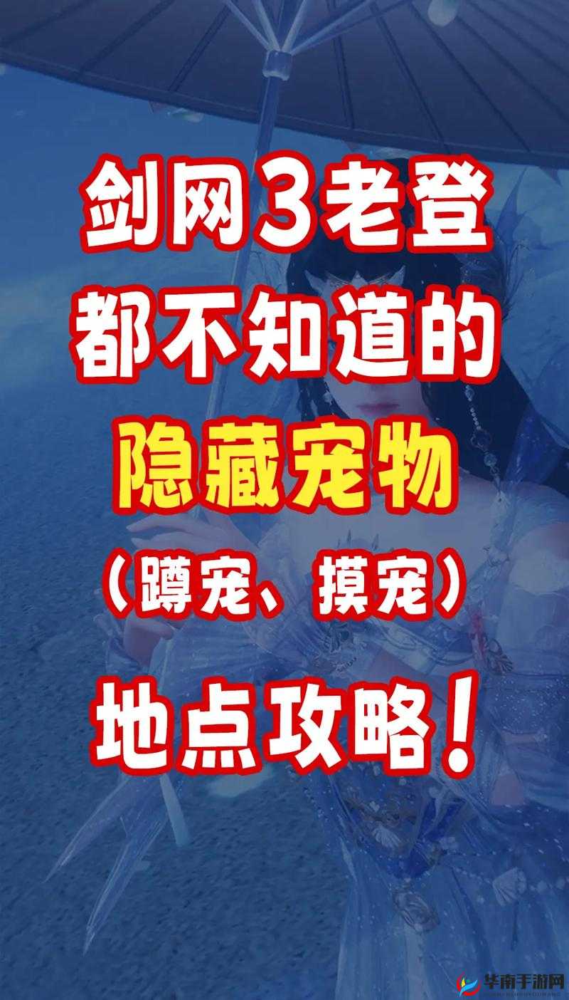 剑三奇遇宠物摸一圈怎么玩？揭秘底层逻辑与实战操作全攻略！