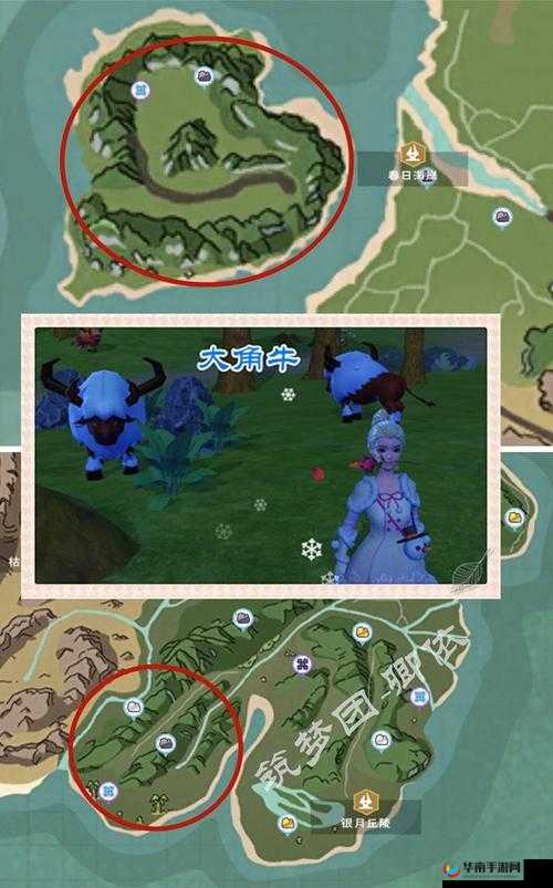 创造与魔法中稀有肉究竟隐藏在哪里，如何高效获取？