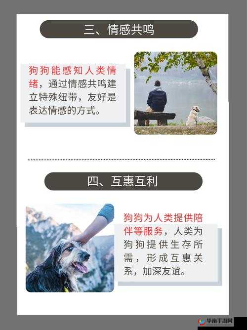 提问：婆婆和我的狗老公相处难怎么办？如何促进他们和谐共处？