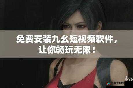 九幺高危风险 9.1 免费版安装，是否安全可靠？