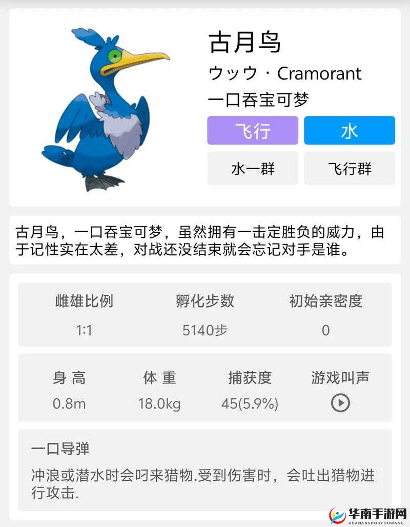 宝可梦大集结中，古月鸟如何成为制胜关键？全攻略揭秘！