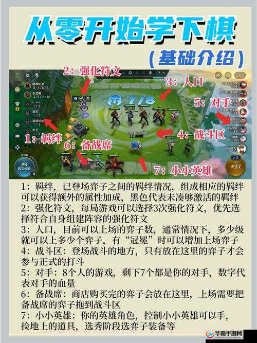 金铲铲之战新手如何高效运营？全面攻略揭秘悬念！
