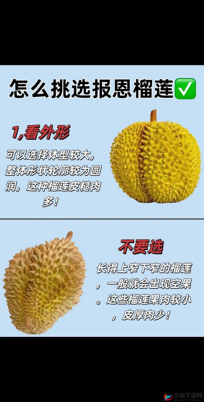 榴莲视频免费下载全攻略：轻松获取高清资源的方法与技巧分享