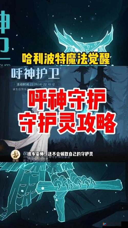 哈利波特魔法觉醒，呼神护卫技能如何施展，揭秘神秘防御秘诀？