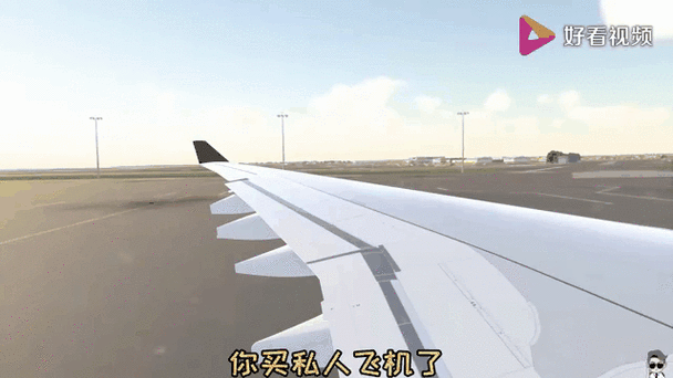 法国航班2018年详细回顾：航班动态、乘客体验与安全措施全解析