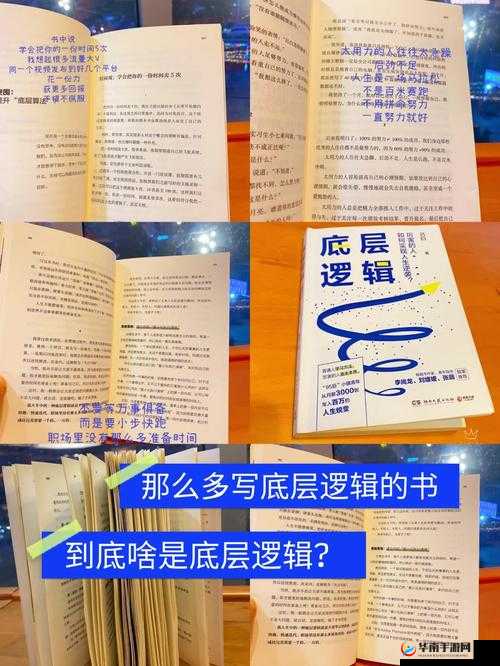 冰原守卫者挑战冰封森林，如何制胜？揭秘底层逻辑与操作全攻略！