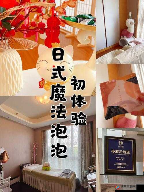 在日外国人的真实生活体验：如何适应日化并找到工作机会？