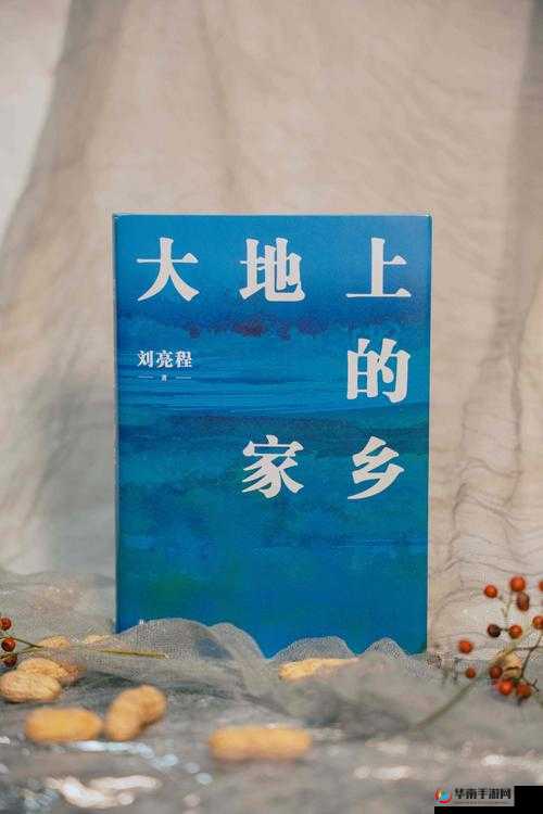 如何免费观看大地中文第二页？大地中文第二页免费看的方法是什么？