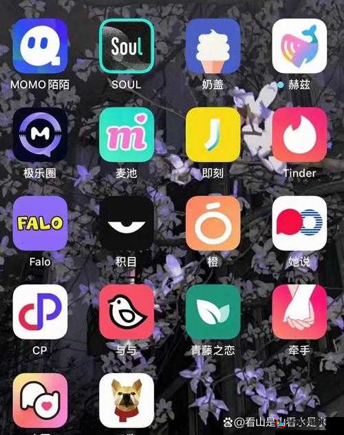 有哪些尺度很大的聊天软件？