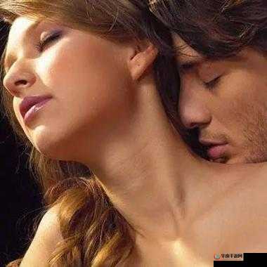 好紧好深好爽再浪一点：探索性爱的极致体验